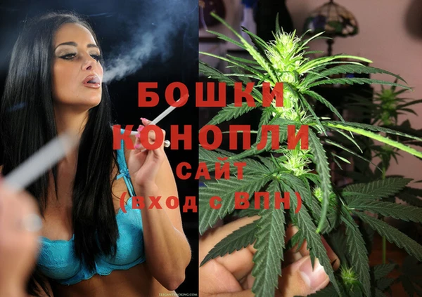 мдпв Семилуки
