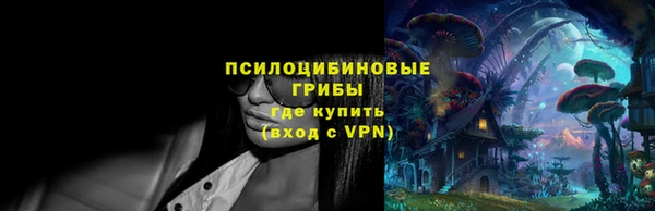 ГАЛЛЮЦИНОГЕННЫЕ ГРИБЫ Алексеевка