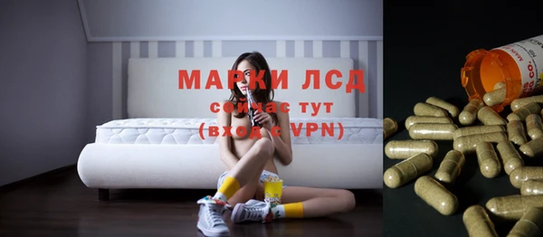 ГАЛЛЮЦИНОГЕННЫЕ ГРИБЫ Алексеевка