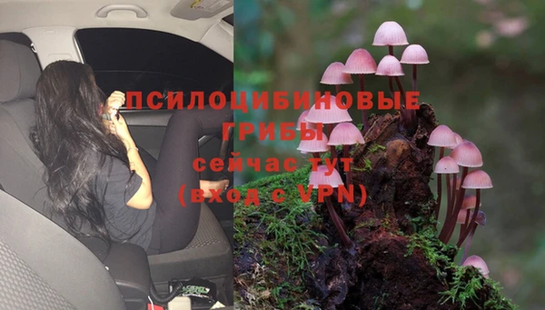 первитин Алзамай