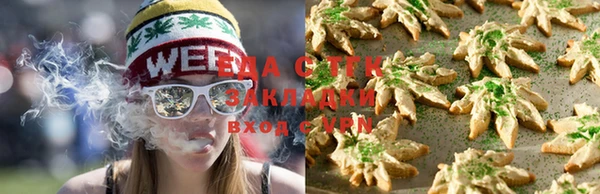прущие грибы Абинск