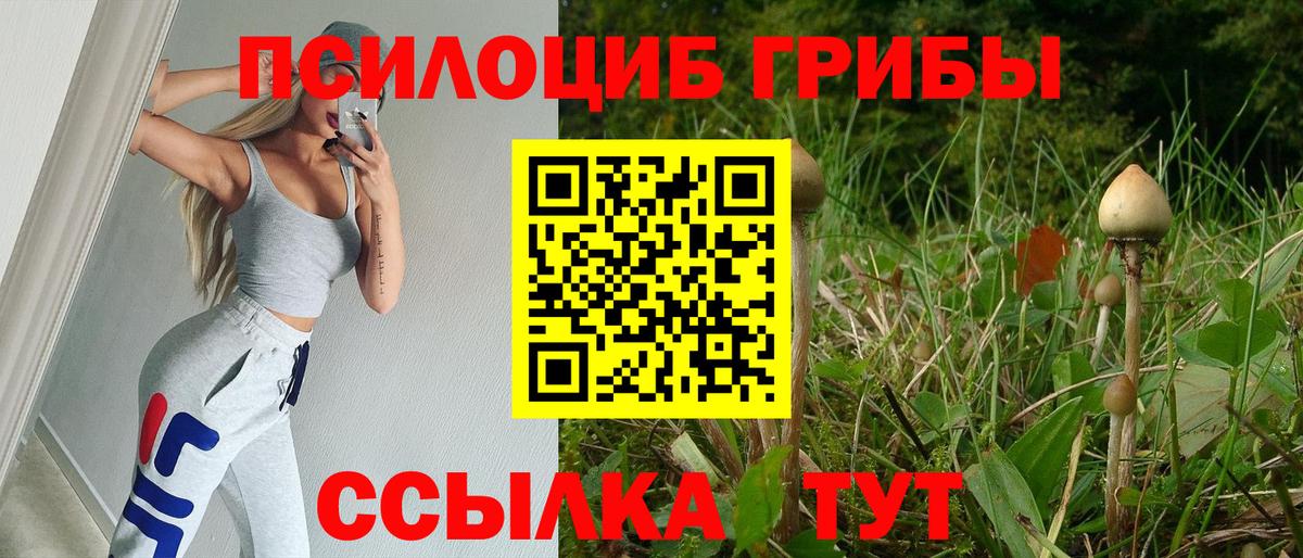 Киржач  Псилоцибиновые грибы ЛСД  Вход с VPN 