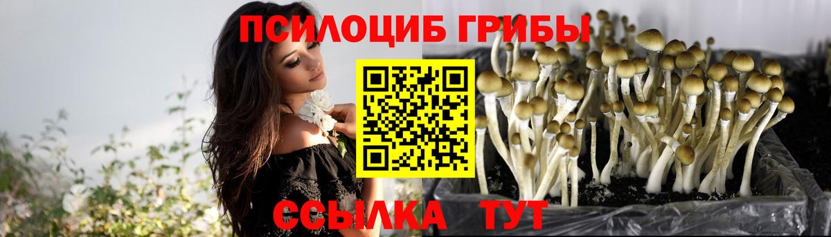 Галлюциногенные грибы ЛСД Киржач