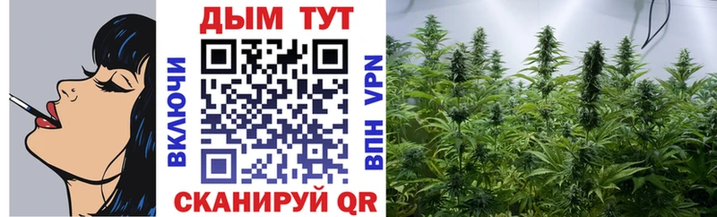 купить Киржач Шишки марихуана OG Kush